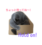 ムウ☆その1（個別スタンプ：14）