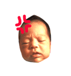 あかしと愉快な仲間達（個別スタンプ：1）