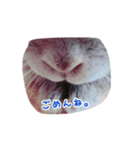 ふんたくん。（個別スタンプ：8）