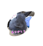 ふんたくん。（個別スタンプ：11）