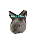 ふんたくん。（個別スタンプ：19）