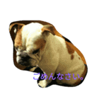 ブルドックの房子さん♪（個別スタンプ：16）