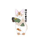 にゃんとも愉快な仲間たち（個別スタンプ：7）