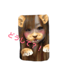 犬と日常こらぼ（個別スタンプ：3）