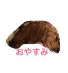犬と日常こらぼ（個別スタンプ：4）