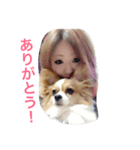 犬と日常こらぼ（個別スタンプ：7）
