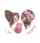 I am Milchan（個別スタンプ：2）