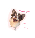I am Milchan（個別スタンプ：3）