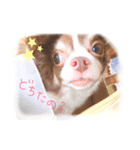I am Milchan（個別スタンプ：8）
