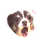 I am Milchan（個別スタンプ：9）