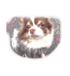 I am Milchan（個別スタンプ：15）
