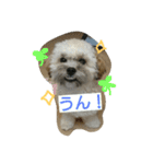 むぎくんスタンプ2（個別スタンプ：1）
