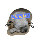 むぎくんスタンプ2（個別スタンプ：2）