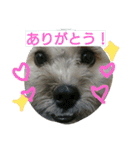 むぎくんスタンプ2（個別スタンプ：3）