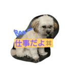 むぎくんスタンプ2（個別スタンプ：5）