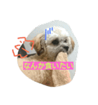 むぎくんスタンプ2（個別スタンプ：7）
