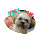むぎくんスタンプ2（個別スタンプ：8）