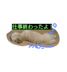 むぎくんスタンプ2（個別スタンプ：9）