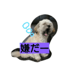 むぎくんスタンプ2（個別スタンプ：10）