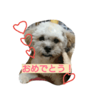 むぎくんスタンプ2（個別スタンプ：11）