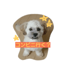むぎくんスタンプ2（個別スタンプ：12）