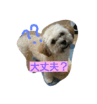 むぎくんスタンプ2（個別スタンプ：13）