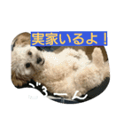 むぎくんスタンプ2（個別スタンプ：14）