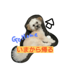 むぎくんスタンプ2（個別スタンプ：16）