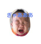Family n（個別スタンプ：9）