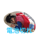 Family n（個別スタンプ：13）