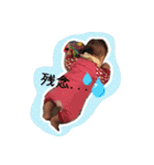 miichan 2（個別スタンプ：16）