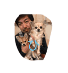 Chihuahuamm（個別スタンプ：13）
