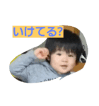 でーたん（個別スタンプ：4）