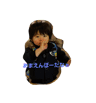 でーたん（個別スタンプ：5）