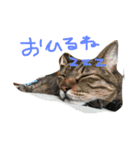 小鉄とこうた（個別スタンプ：1）