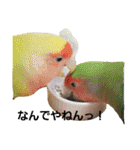 鳥居のトリのインコっこたち（個別スタンプ：12）