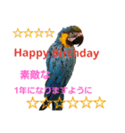鳥居のトリのインコっこたち（個別スタンプ：15）