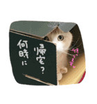 びすけ（個別スタンプ：3）