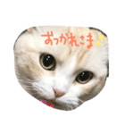 びすけ（個別スタンプ：4）
