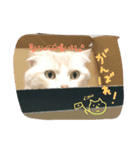 びすけ（個別スタンプ：5）