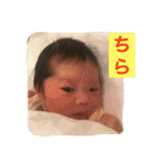 はるきくんのスタンプ（個別スタンプ：23）
