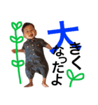 いろいろいくま（個別スタンプ：24）