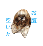 東岡さん家（個別スタンプ：6）