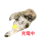 東岡さん家（個別スタンプ：9）