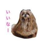 東岡さん家（個別スタンプ：12）