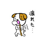 鍼とお灸を愛する犬（個別スタンプ：12）