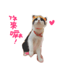 maggie＆hippocampus（個別スタンプ：2）
