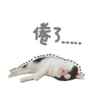 maggie＆hippocampus（個別スタンプ：4）