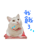 maggie＆hippocampus（個別スタンプ：5）