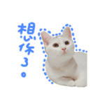 maggie＆hippocampus（個別スタンプ：6）